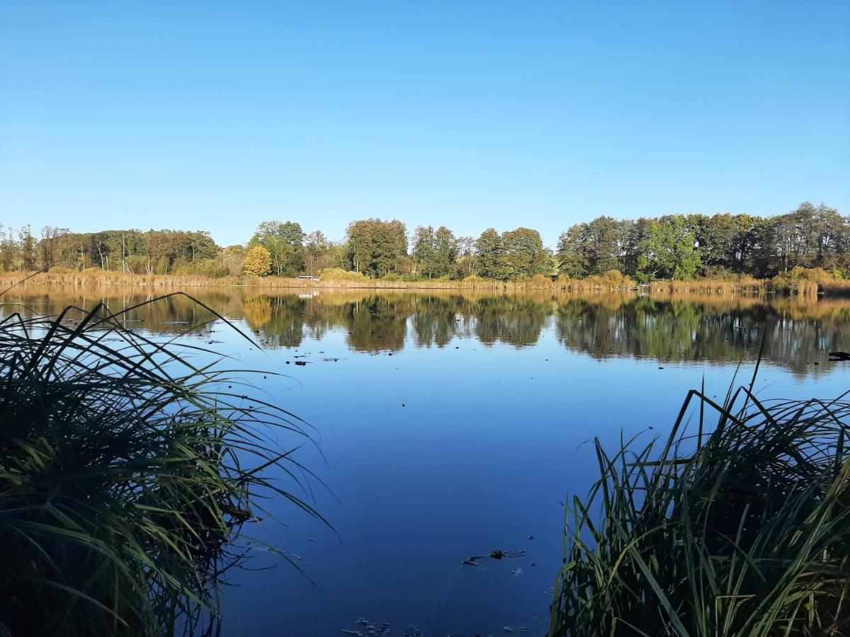 Mv Idyll Villa Dahmen  Bagian luar foto